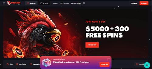 Rooster.Bet Casino Offer